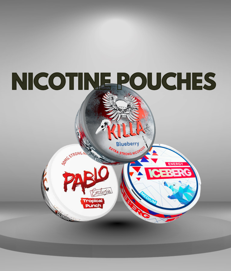 Various Nicotine Pouches Flavors and Brands